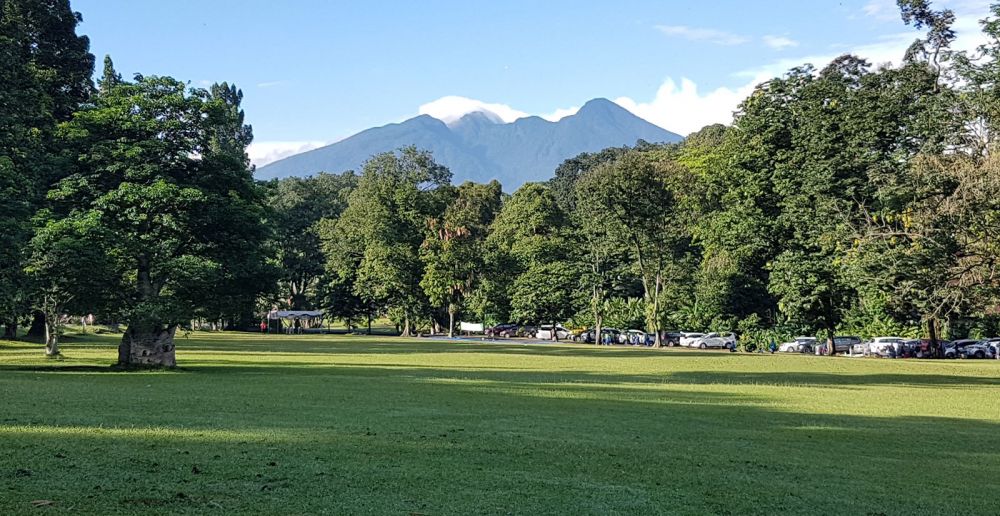 OPINI.id 2 Abad Kebun Raya Bogor