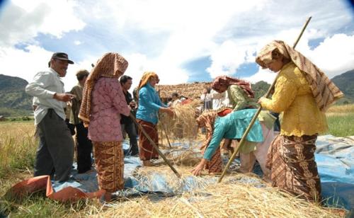 3 Bentuk Gotong Royong Di Berbagai Daerah - Berbagi Bentuk Penting