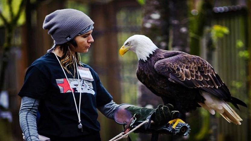 8 Filosofi Burung  Elang yang Bisa Kamu Tiru Opini id