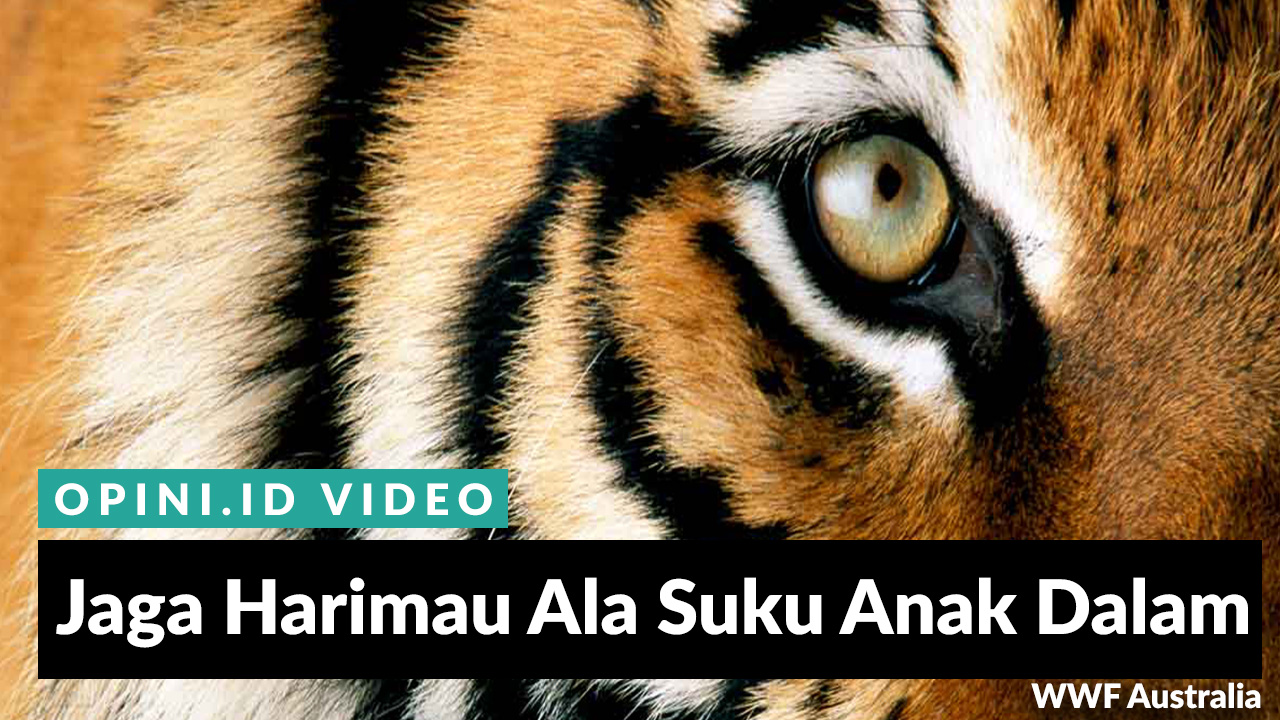 50+ Kata Motivasi Tentang Harimau | Kata48